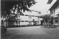 東邦大付東邦