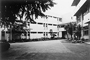 東邦大東邦