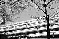 桐蔭学園