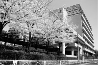 安田学園