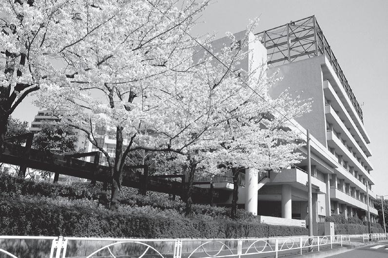 安田学園