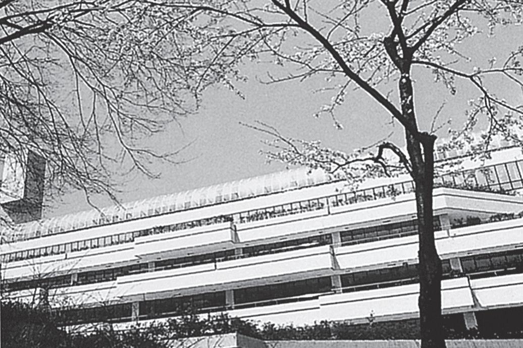 桐蔭学園