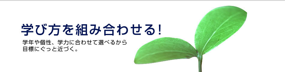 wѕgݍ킹I@wNAw͂ɍ킹đIׂ邩ڕWɂƋ߂ÂB