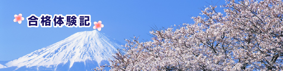 2011Nt̍ǐL