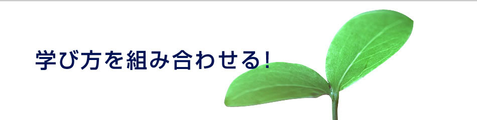 wѕgݍ킹I