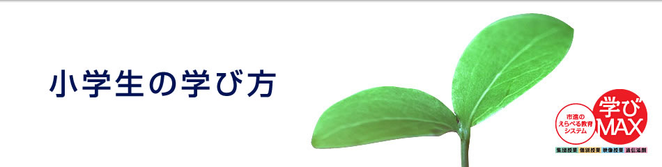 ẘwѕ