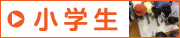 小学生ボタン