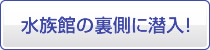 水族館の裏側に潜入!
