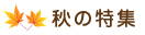 秋の特集