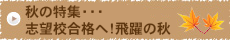 秋の特集