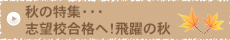 秋の特集