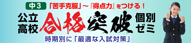公立高校合格突破個別ゼミ