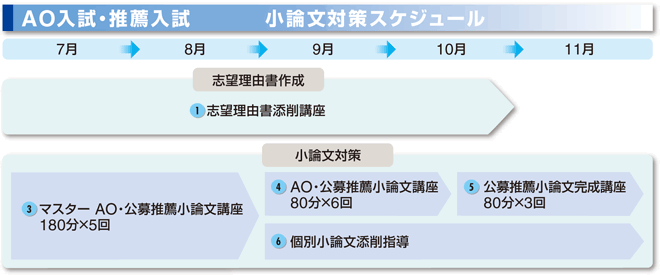 AO入試・推薦入試 小論文・面接対策スケジュール