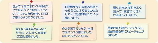 先輩たちの声