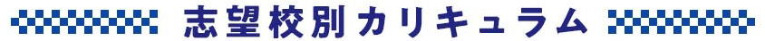 志望校別カリキュラム