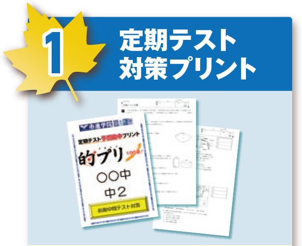 中学生