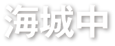 海城中