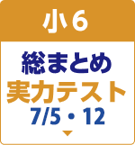 総まとめ実力テスト